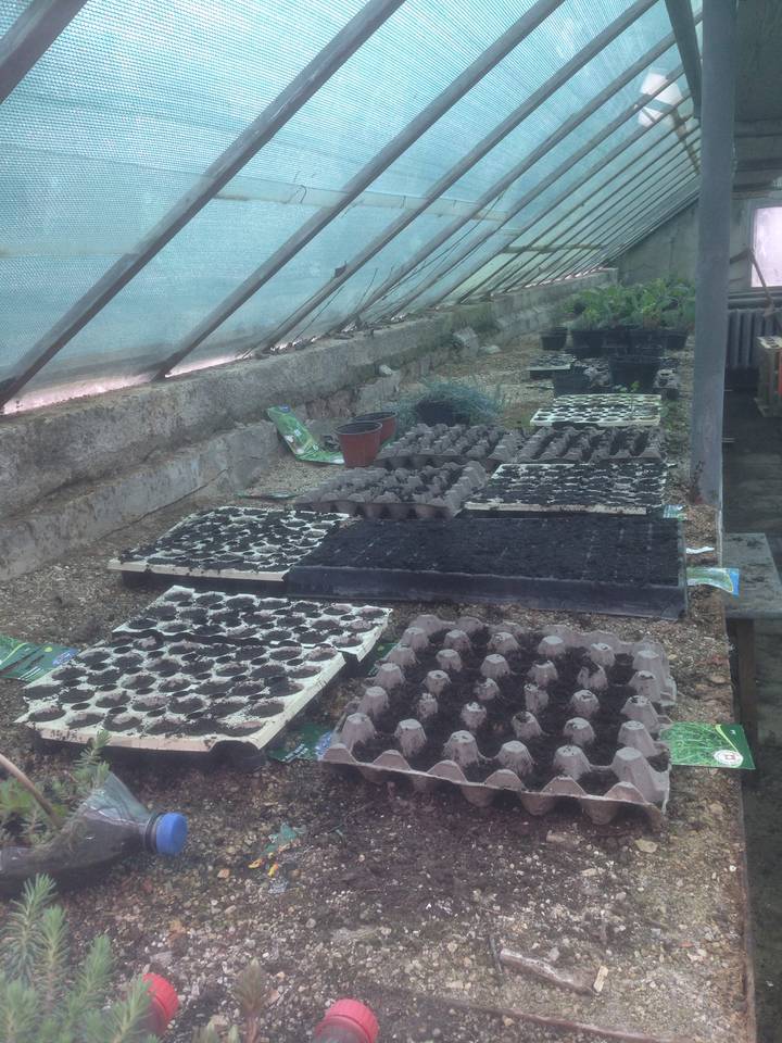 Az üvegházban megindult a növények nevelése és szaporítása