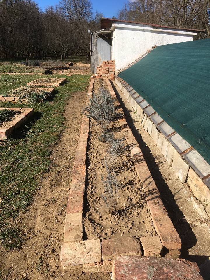 A Szent Gyrgy gygy-s fszernvny kertben is megindulnak a munkk